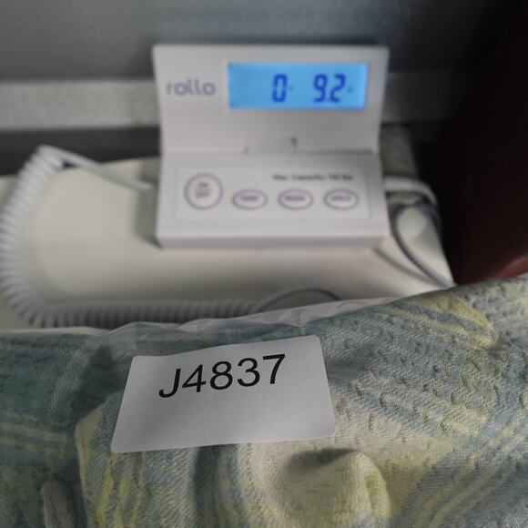 Rails Top Womens Small Brady Sage Lemon Button Shirt Plaid Western Cowgirl - Picture 10 of 10